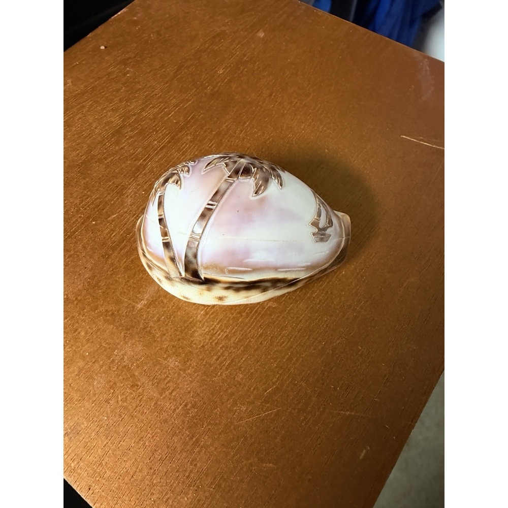 Carved Etched Tiger Cowrie Seashell‎ Hawaii Palm Tree Overwater Hut Seagulls